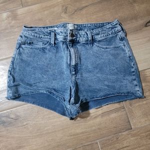Size 31 Jean Shorts